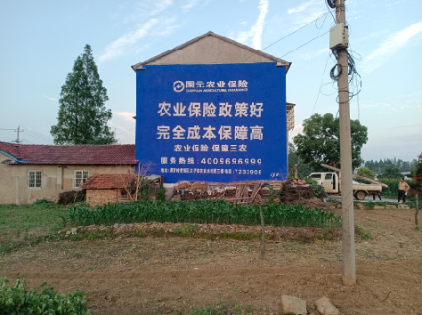 安化墙体广告的优劣势你知道吗?